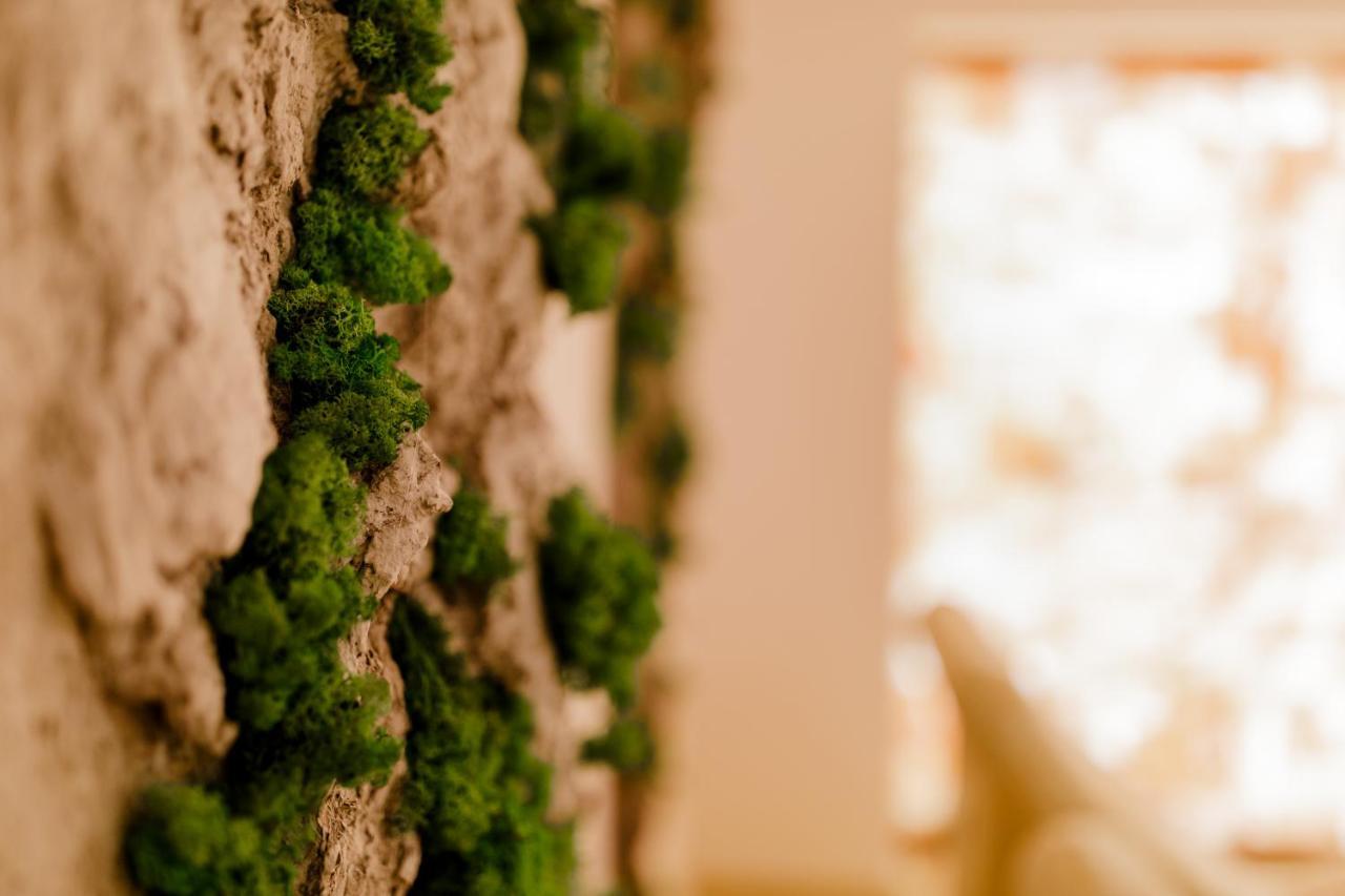Muller Hotel Boutique & Spa Galac Kültér fotó